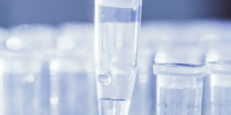 Molecular biology, stem cells, peptides