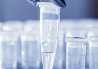 Molecular biology, stem cells, peptides