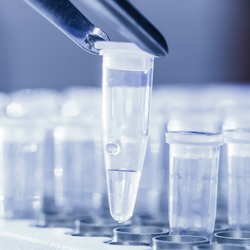 Molecular biology, stem cells, peptides