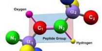 Peptides and Peptide Synthesisers