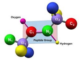 Peptides and Peptide Synthesisers